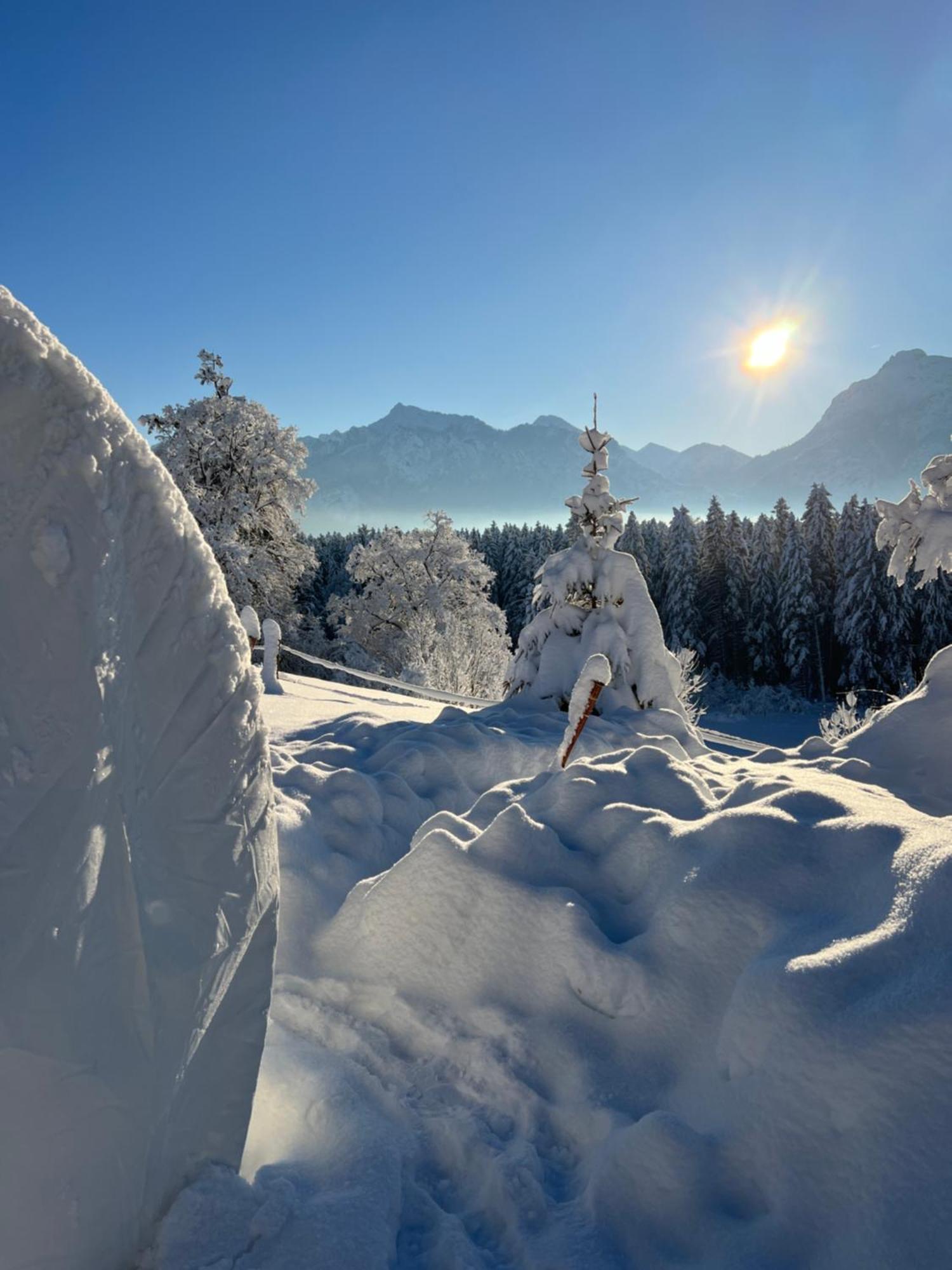 Bubble Tent Fuessen Im Allgaeu エクステリア 写真